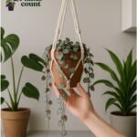 Chinees lantaarnplantje verzorgen in hangpot