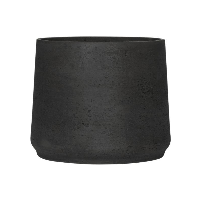 Jumbo Patt Black Washed