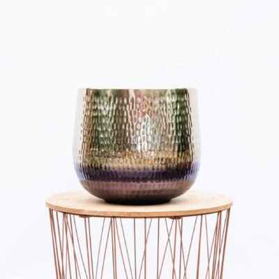 Jenna Gold - afbeelding 2