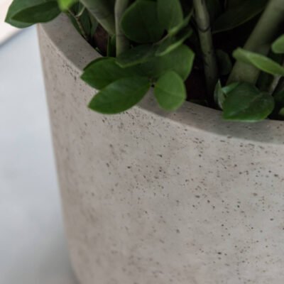 Jumbo Charlie Beige Washed - afbeelding 2