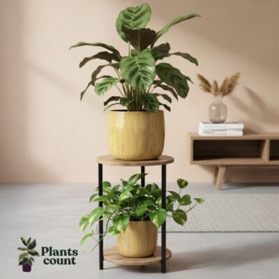 Pot Babet Camel - afbeelding 2