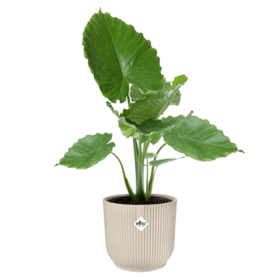 Pot elho Vibes Fold Round wit - afbeelding 2