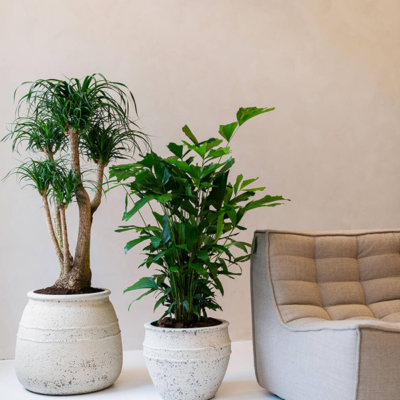 Pot Athena Chalk White