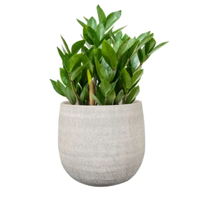 TS Collection Pot Esra concrete - afbeelding 2