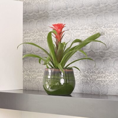 Charlotte keramieken pot Green - afbeelding 2