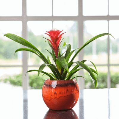 Charlotte keramieken pot – Orange - afbeelding 2