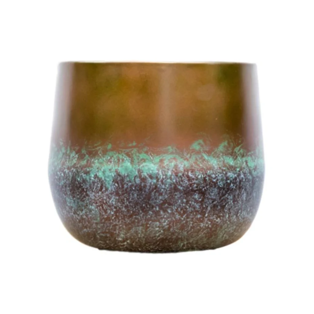 Elisa Mystic Green kopen bij Plantscount