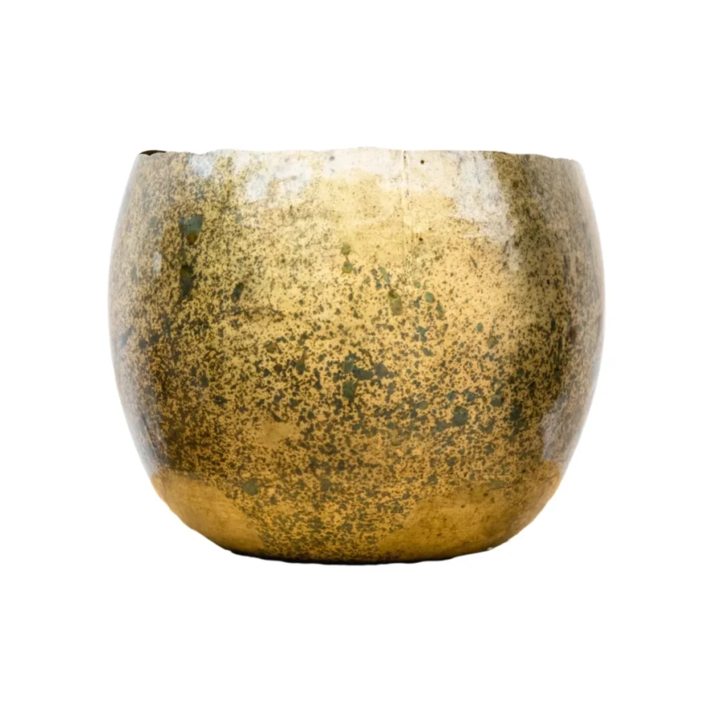 Ellen Brass kopen bij Plantscount