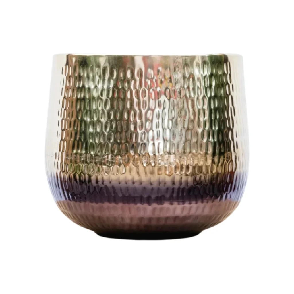 Jenna Gold kopen bij Plantscount