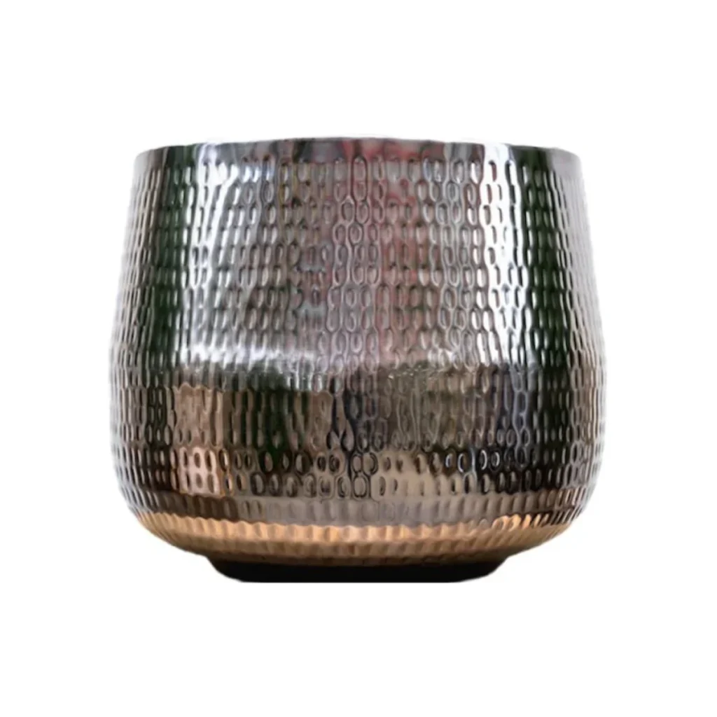 Jenna Lead kopen bij Plantscount