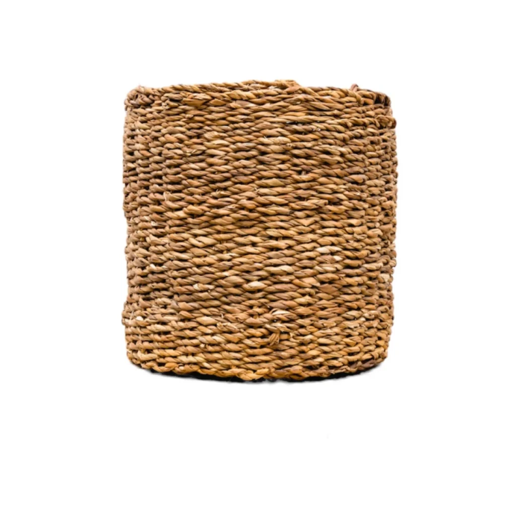 Mand Ido kopen bij Plantscount