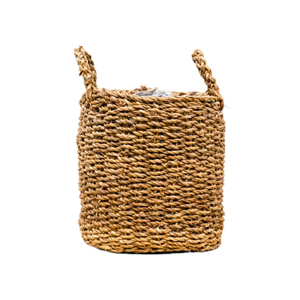 Mand Jack kopen bij Plantscount