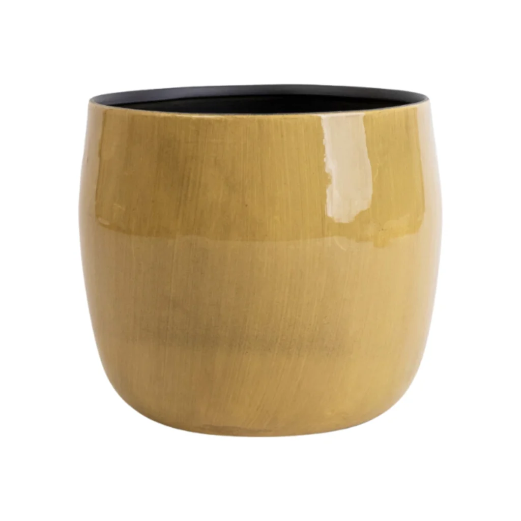 Pot Babet Pine kopen bij Plantscount