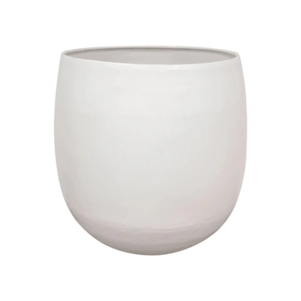 Stijn wit kopen bij Plantscount