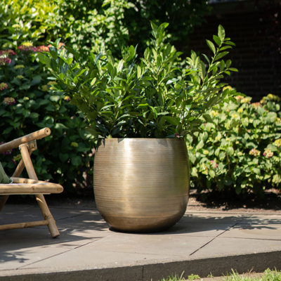 Rowen gold sierpot – goud metaal - afbeelding 2