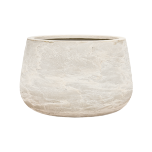 Baq Algar Darcy Low White