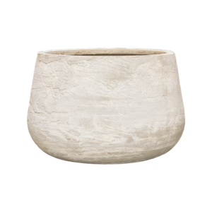 Baq Algar Darcy Low White