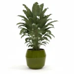 Pot Eddy Pear - keramieken bloempot set met Pot Eddy Pear - keramieken bloempot - 43