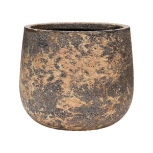 Baq Atlas Darcy Brown