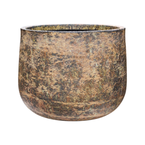 Baq Atlas Darcy Brown