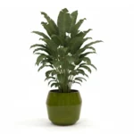 Pot Eddy Pear – keramieken bloempot set met Pot Eddy Pear – keramieken bloempot – 43