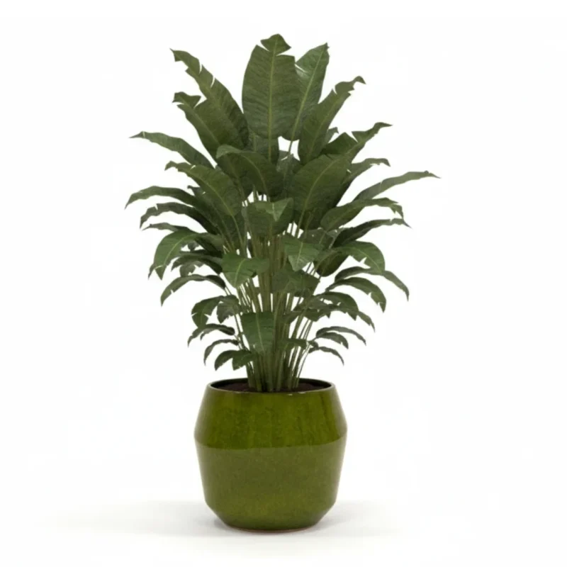 Pot Eddy Pear – keramieken bloempot set met Pot Eddy Pear – keramieken bloempot – 43 kopen bij Plantscount