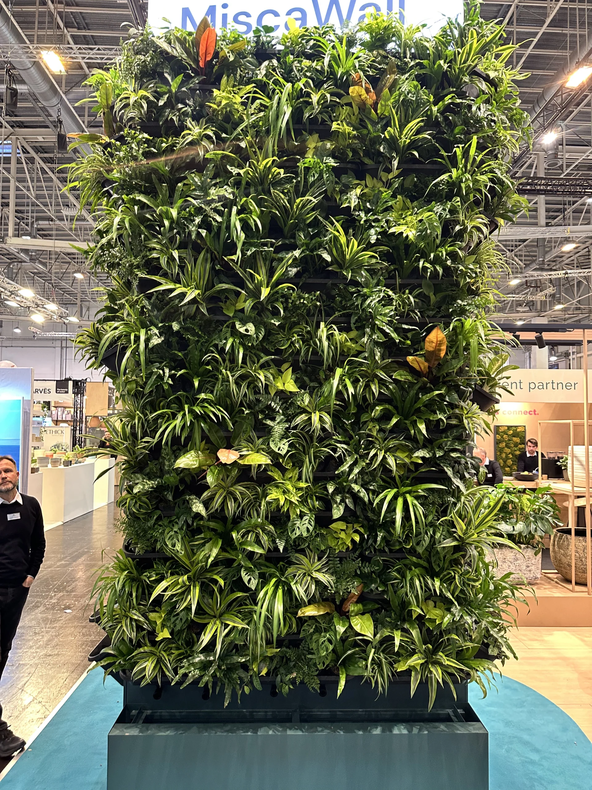 Professionele plantenwand met diverse groene planten in kantooromgeving